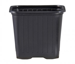 Teku Square Pots | Product categories | Berrycroft Horticulture